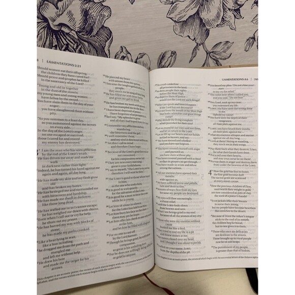 NIV Thinline Bible - BRAND NEW ~ Nature Brown Board ~ Simplistic - Picture 7 of 9